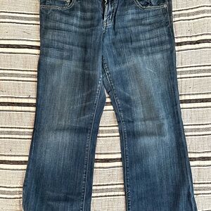 American Eagle Outfitters Dark Blue Straight Leg Jeans